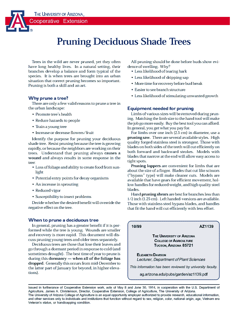 Pruning Deciduous01